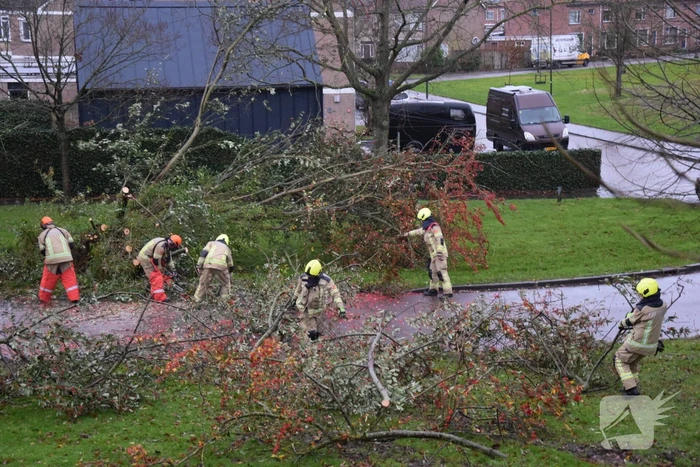 Omgewaaide boom verspert weg