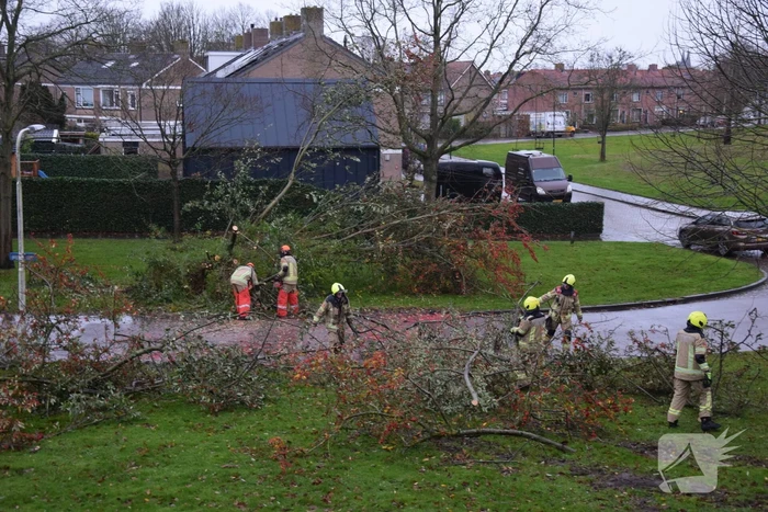 Omgewaaide boom verspert weg