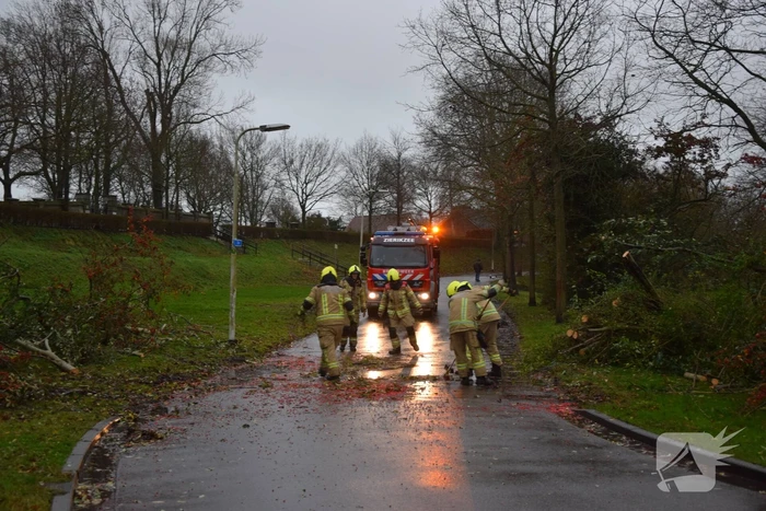 Omgewaaide boom verspert weg