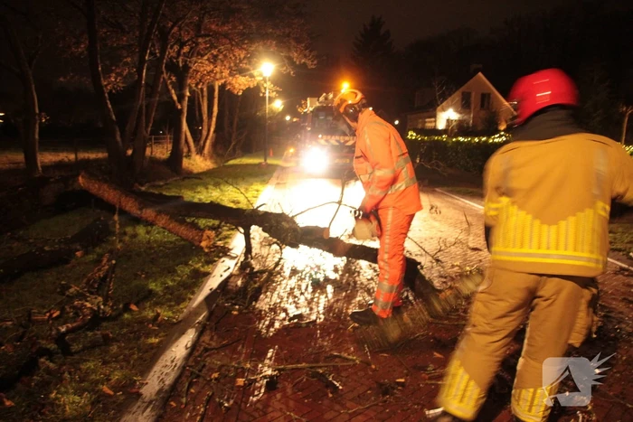Boom valt op weg door harde wind