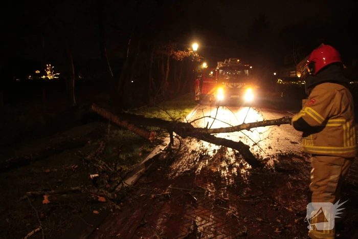 Boom valt op weg door harde wind
