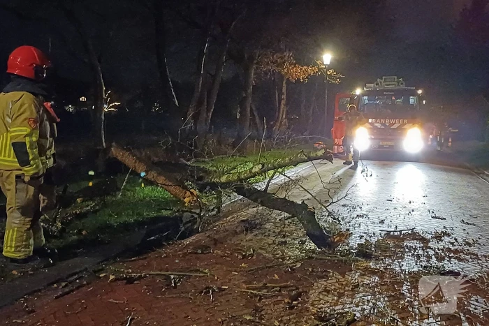 Boom valt op weg door harde wind