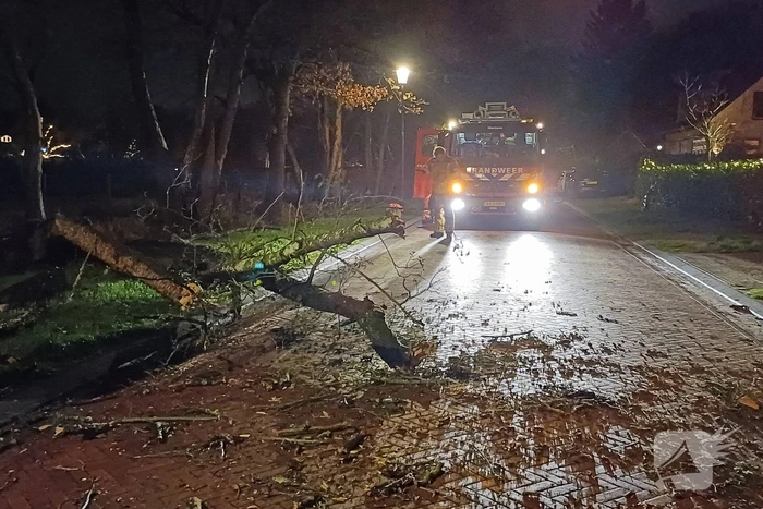 Boom valt op weg door harde wind