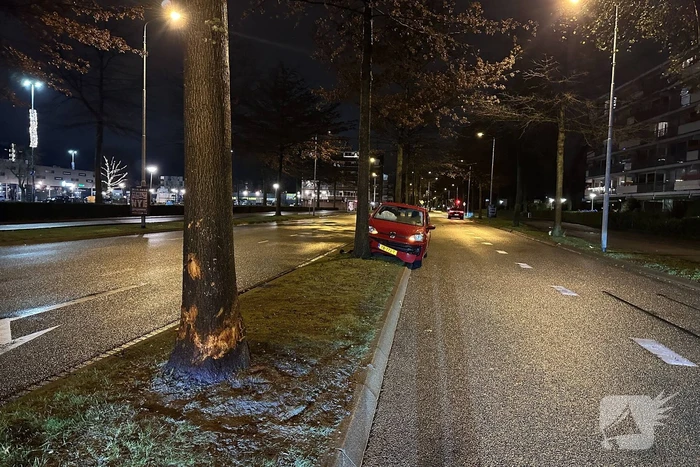 Bejaard echtpaar gewond bij botsing tegen boom