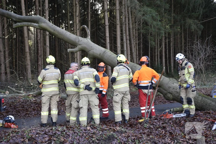 Groot materieel ingezet voor boom over fietspad