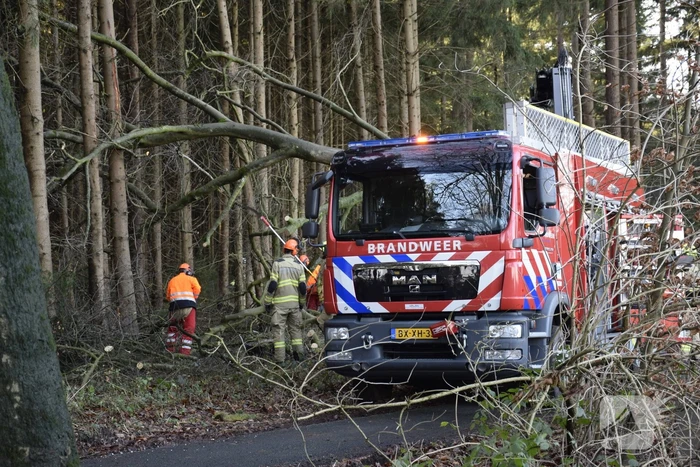 Groot materieel ingezet voor boom over fietspad