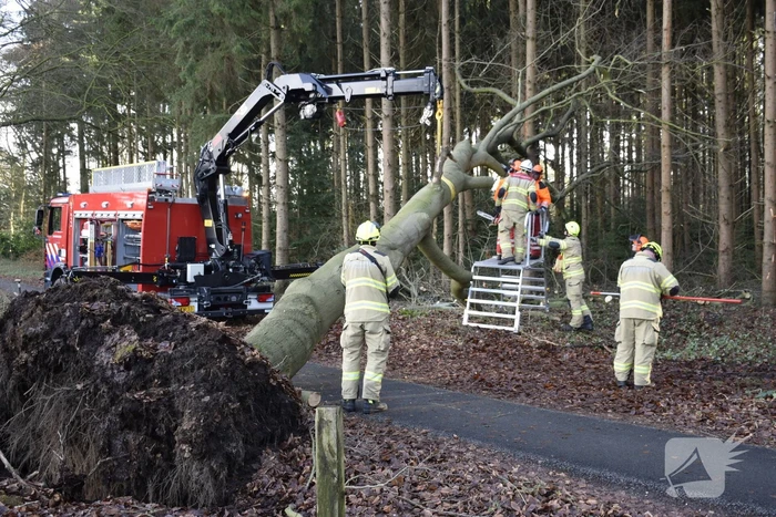 Groot materieel ingezet voor boom over fietspad