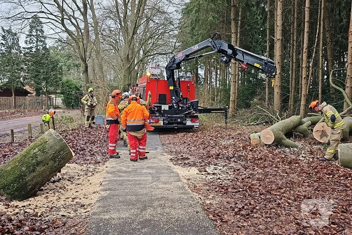 Groot materieel ingezet voor boom over fietspad
