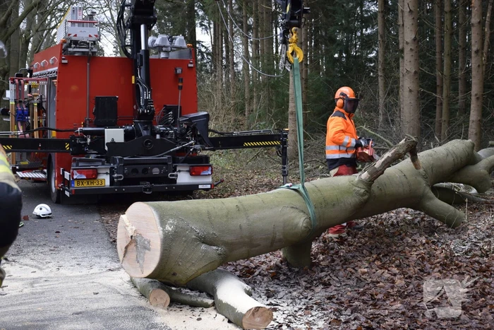 Groot materieel ingezet voor boom over fietspad