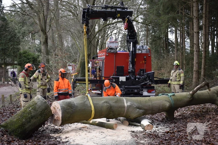 Groot materieel ingezet voor boom over fietspad
