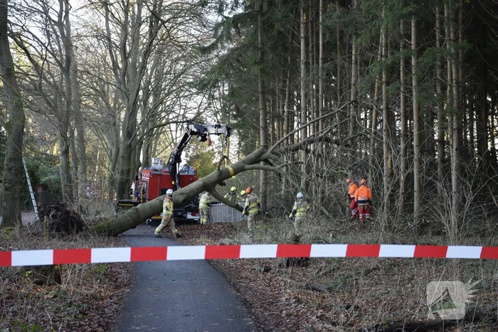 natuur zonneoordlaan ede