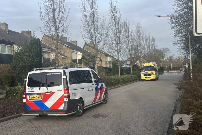 nieuws trambaan strijen