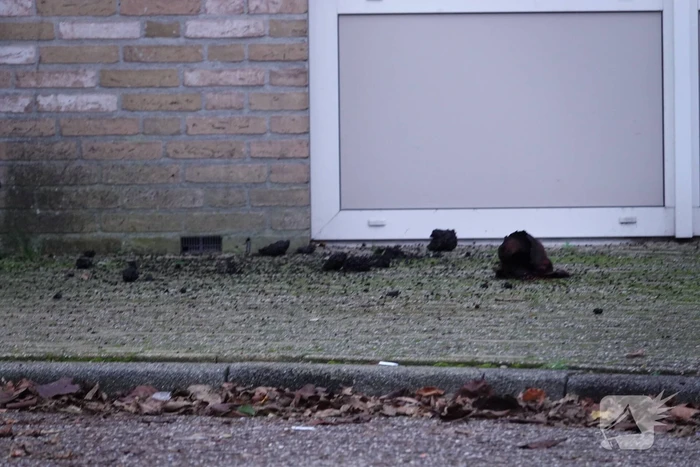 Rookontwikkeling door brand in magnetron in woon-zorgcomplex