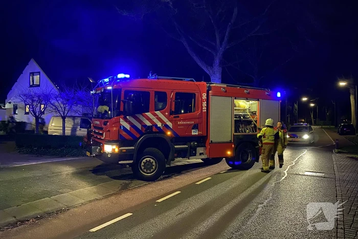 Heg vat vlam door vuurwerk