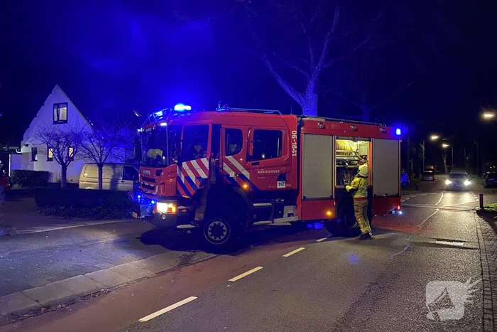 Heg vat vlam door vuurwerk