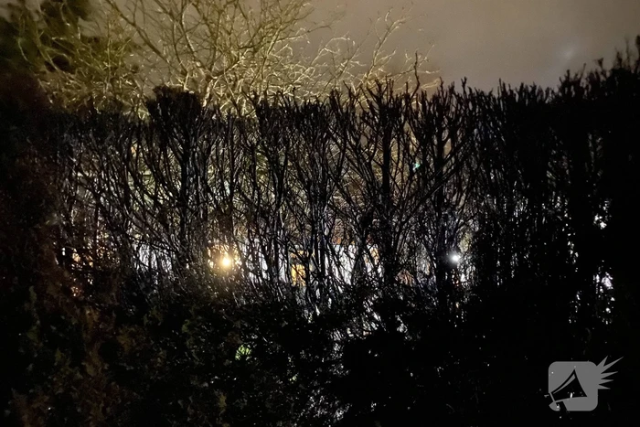 Heg vat vlam door vuurwerk