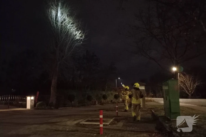 Takken los in boom door weersomstandigheden