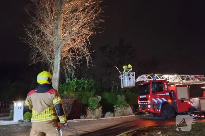 Takken los in boom door weersomstandigheden