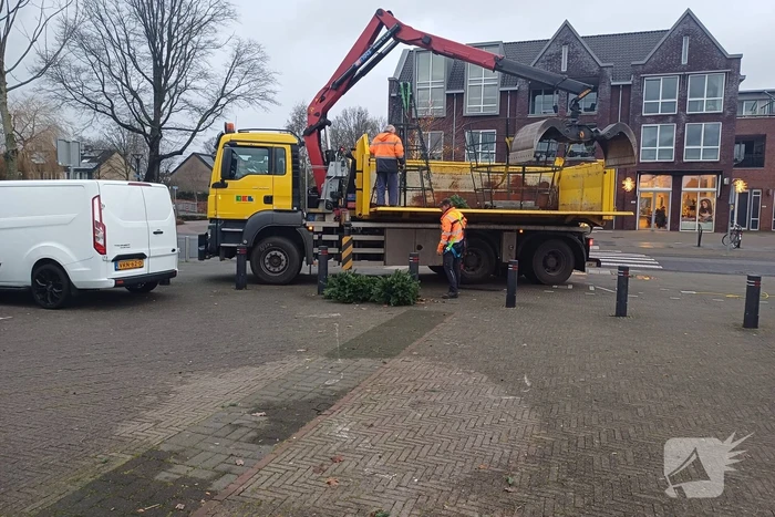 Gemeente haalt kerstboom vroegtijdig weg