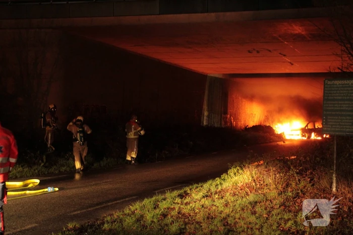 Bestelbus uitgebrand onder viaduct