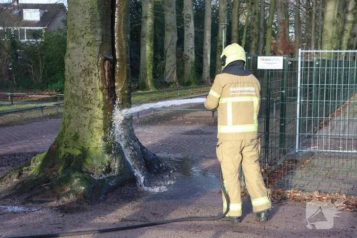 Inwendige boombrand gedoofd