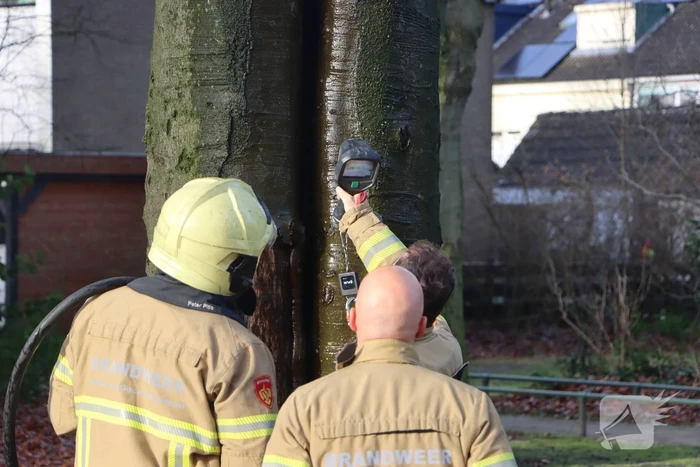 Inwendige boombrand gedoofd