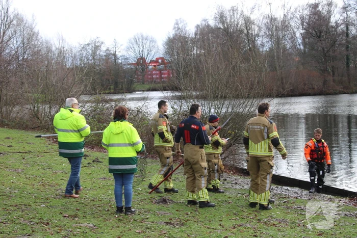 Dier gered door brandweer