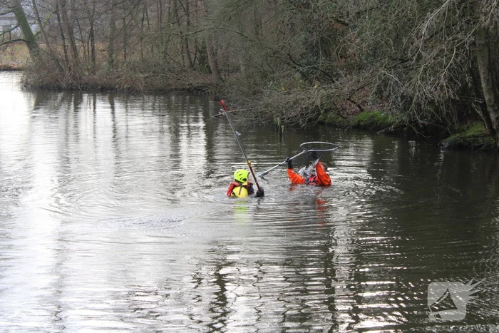 Dier gered door brandweer