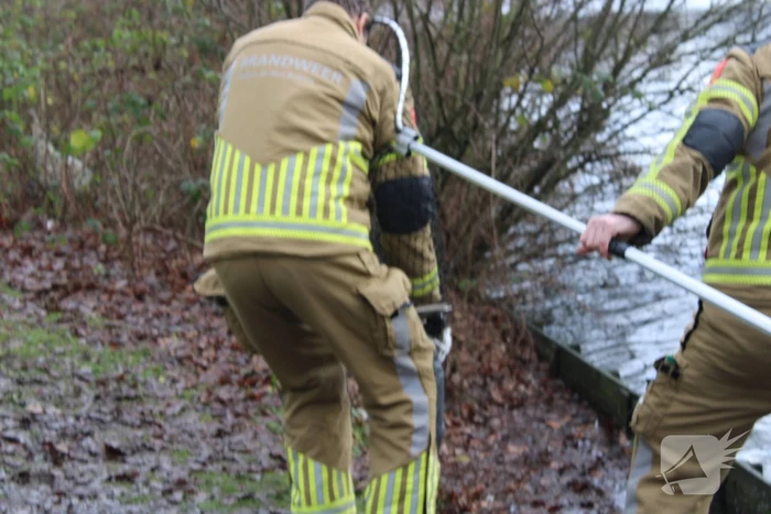 Dier gered door brandweer