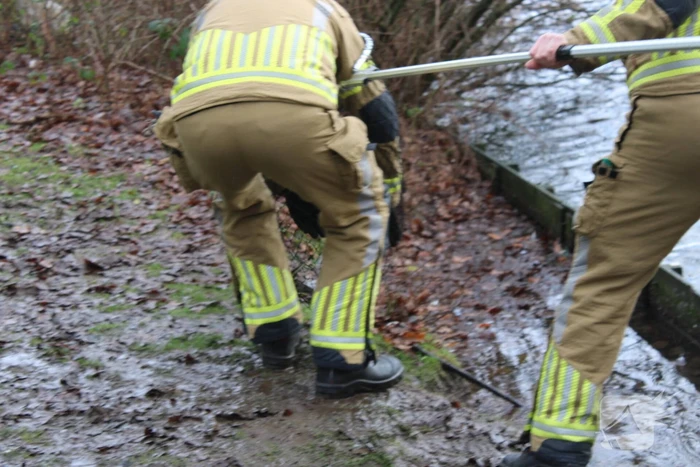Dier gered door brandweer