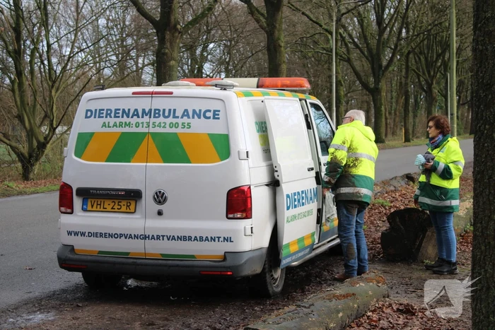 Dier gered door brandweer