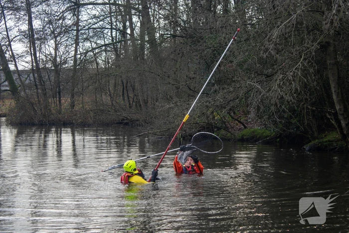 Dier gered door brandweer