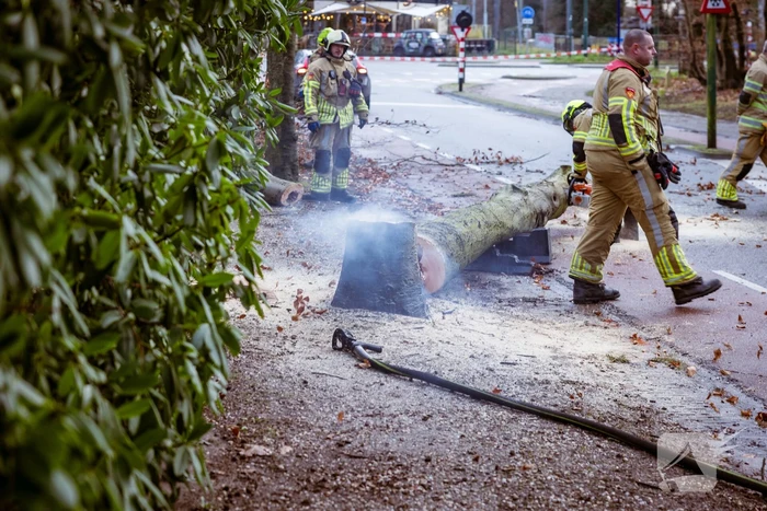 Boom in stukken gezaagd na brand