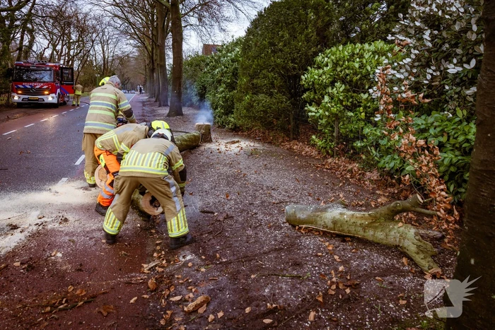 Boom in stukken gezaagd na brand