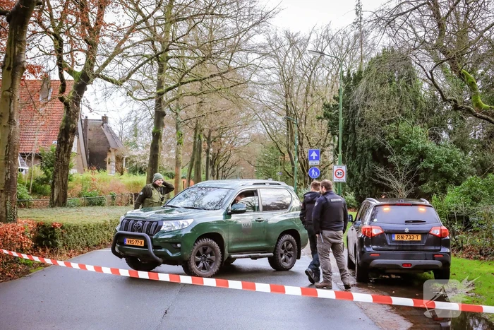 Boom in stukken gezaagd na brand