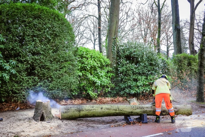Boom in stukken gezaagd na brand