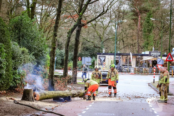 Boom in stukken gezaagd na brand
