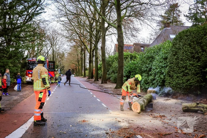 Boom in stukken gezaagd na brand