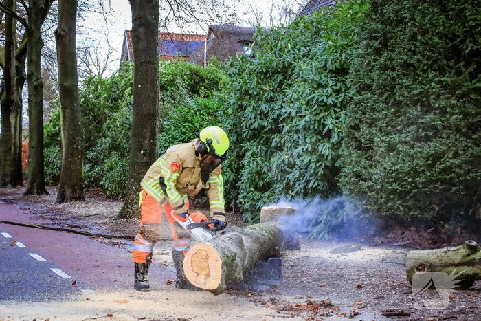 Boom in stukken gezaagd na brand