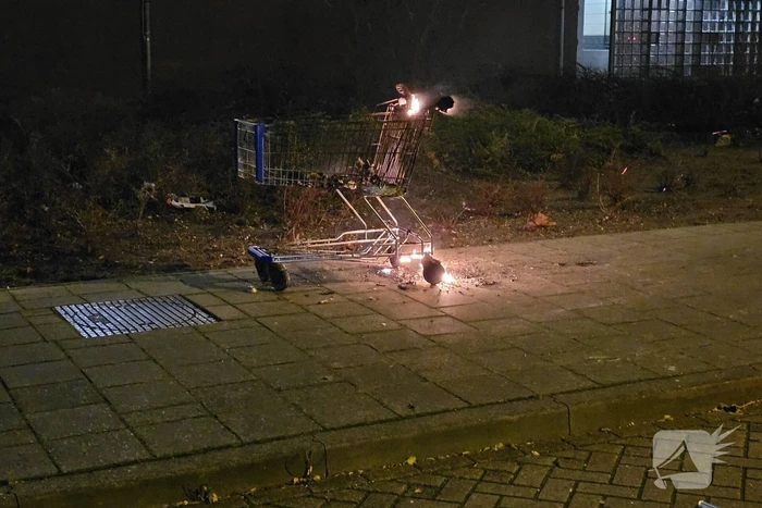 Winkelwagen met afval in brand gestoken