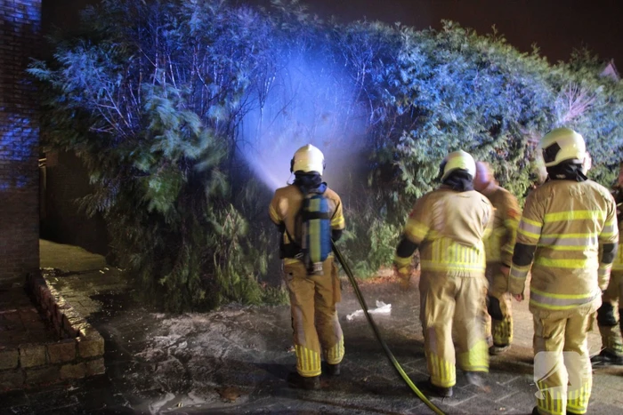 Vuurwerk veroorzaakt brand in heg
