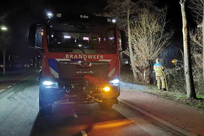 Brandweer blust brandende boom