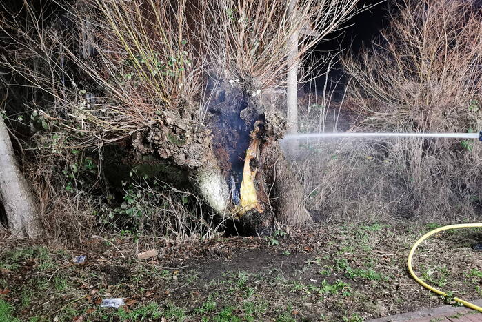 Brandweer blust brandende boom