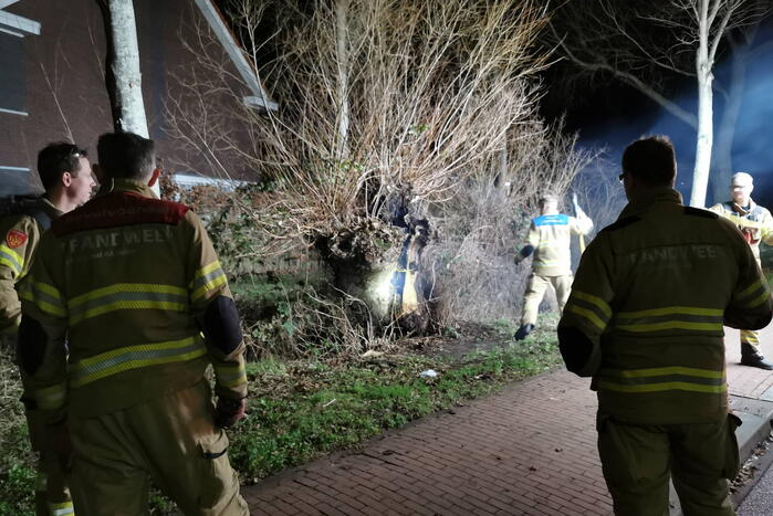 Brandweer blust brandende boom