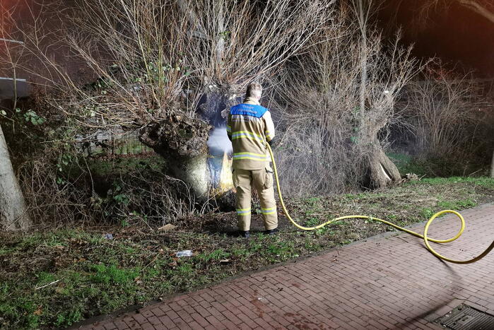 Brandweer blust brandende boom