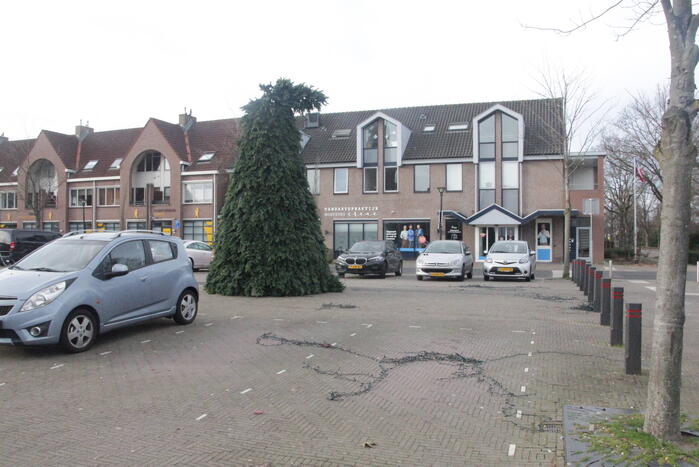 Grote gemeente kerstboom wederom vernield