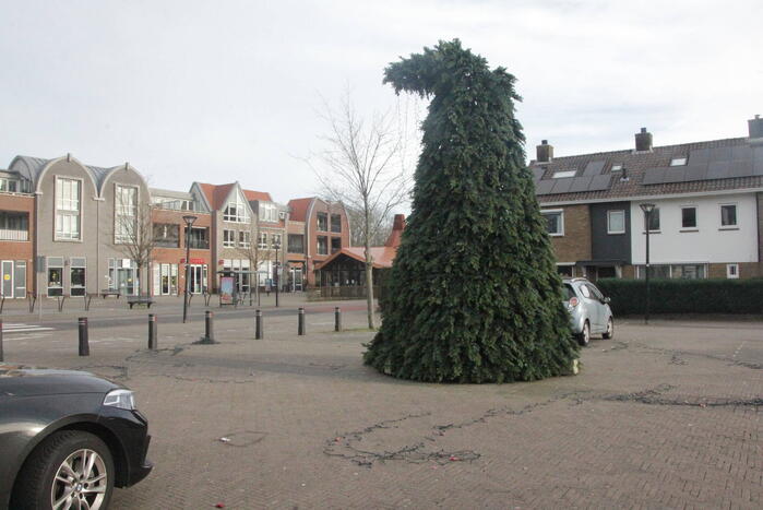 Grote gemeente kerstboom wederom vernield