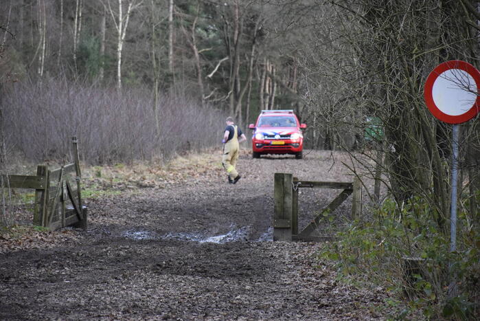 Ruiter ten val in bosgebied