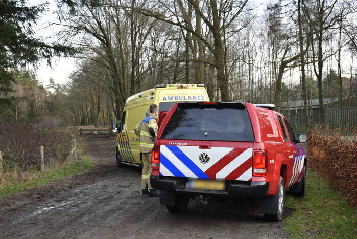 Ruiter ten val in bosgebied
