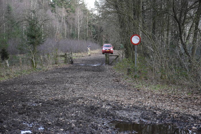 Ruiter ten val in bosgebied